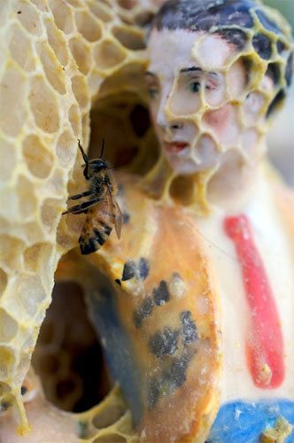 sculpture-abeille-aganetha-dyck-2